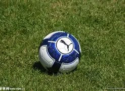 长春亚泰,逆转广州城,温永骏首开,开云登录入口,开云平台,开云注册网址,开云app,开云官网,开云网站,开云网页版